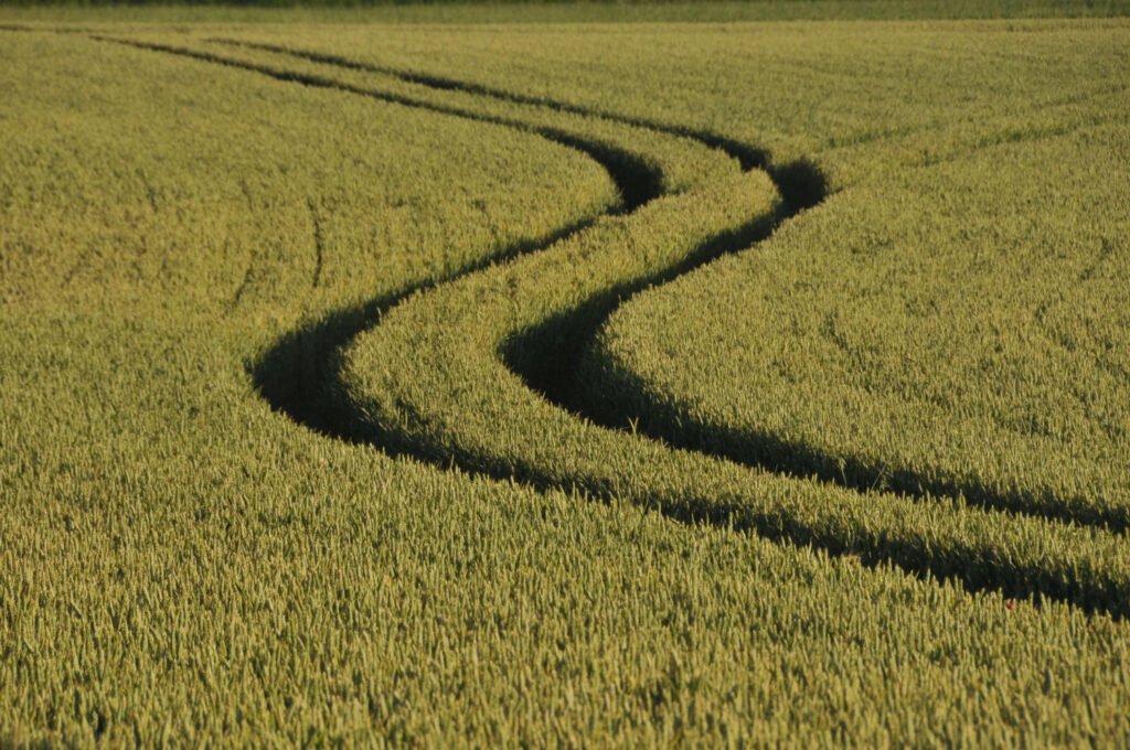 Conditionality Isn't a Threat- It's a Roadmap